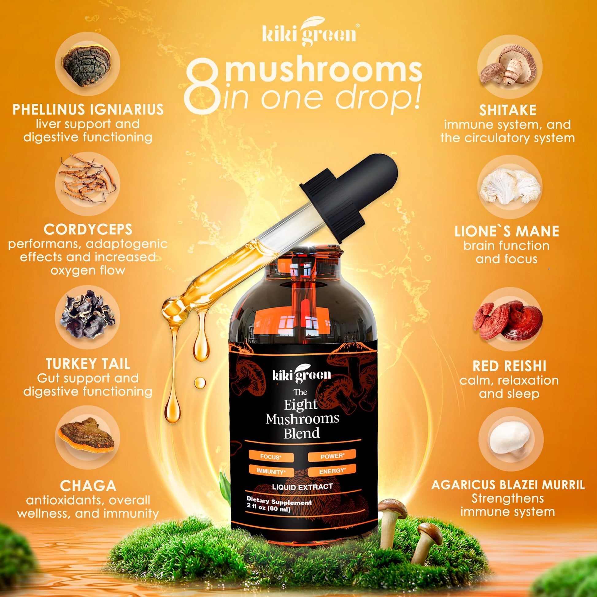 Liquid Mushroom Extract Drops - 8 Mushrooms Complex for Cognitive Support and Immunity Boost - Lions Mane Supplement, Cordyceps, Chaga, Reishi, Shiitake, Turkey Tail, Maitake, Red Reishi